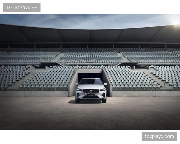 世界杯球场焕新升级,打造引领潮流的赛事观赛新体验 世界杯球场焕新升级,打造引领潮流的赛事观赛新体验